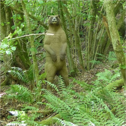 §D-Target aufrecht stehender Grizzly im Laubwald